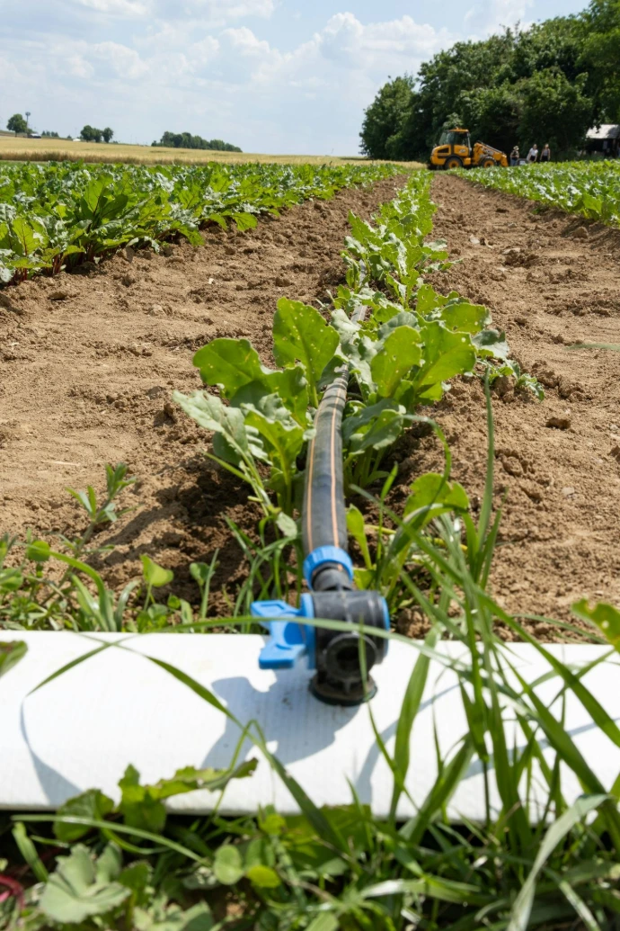 A pipe laying in the middle of a field